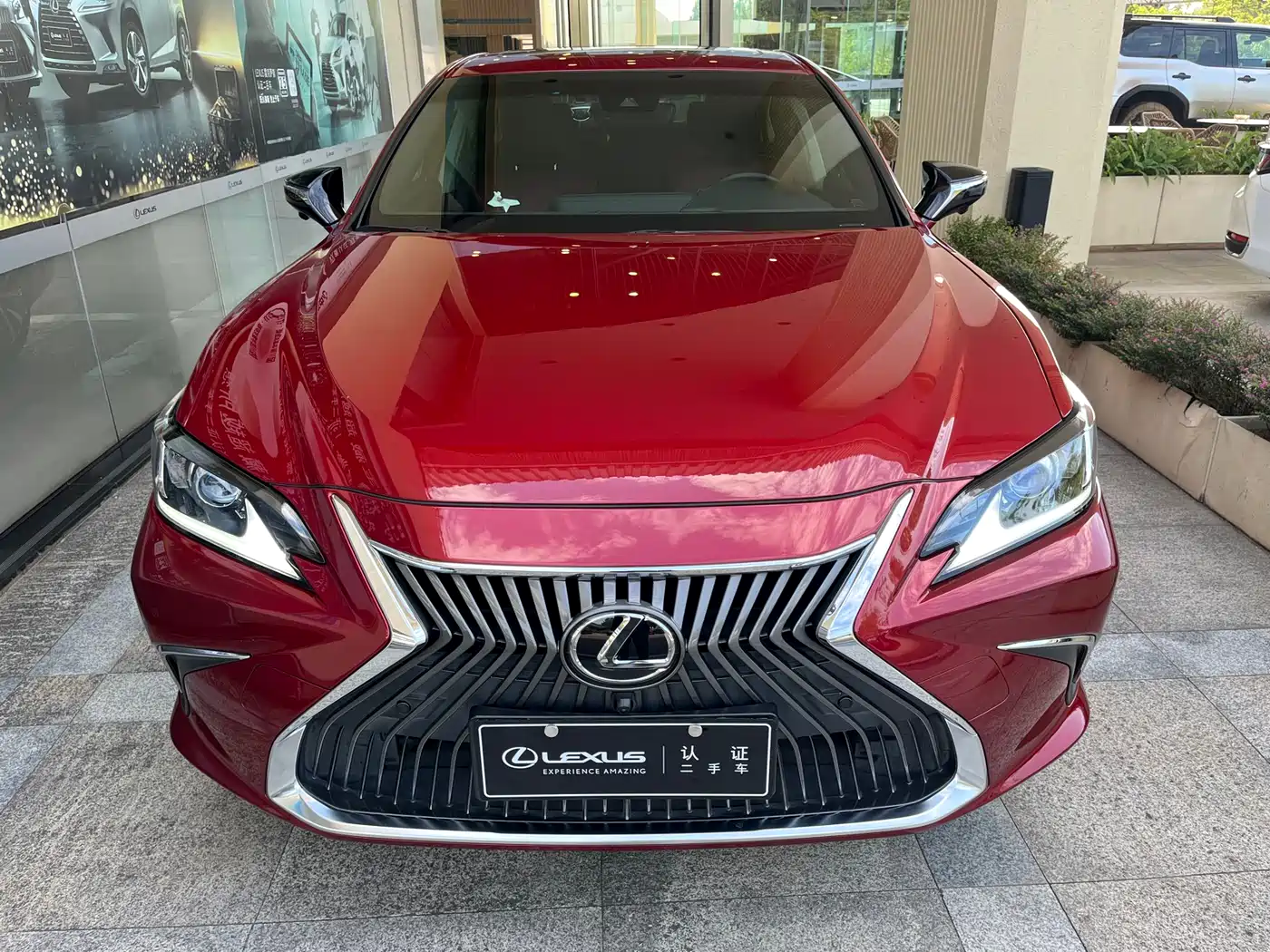 Lexus ES 2020 200 Luxury фото 2