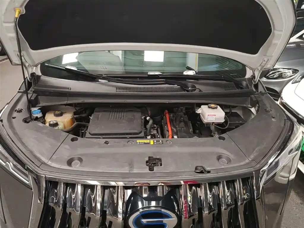 GAC Trumpchi Trumpchi M8 2023 Master Series Dual Hybrid Flagship Edition фото 20