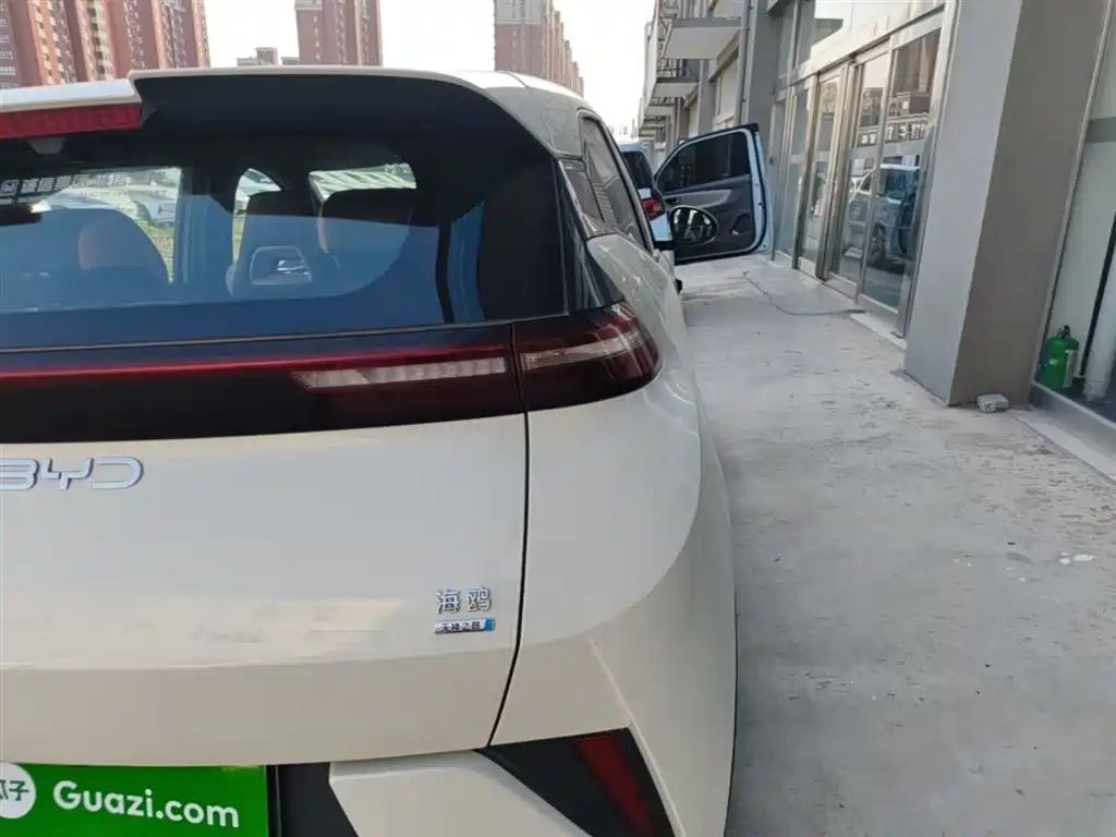 BYD Seagull 2025 Smart Drive Edition 305km Freedom Version фото 8