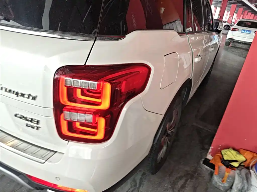 GAC Trumpchi Trumpchi GS8 2017 320T 2WD Luxury Smart Connect (7-seater) фото 8