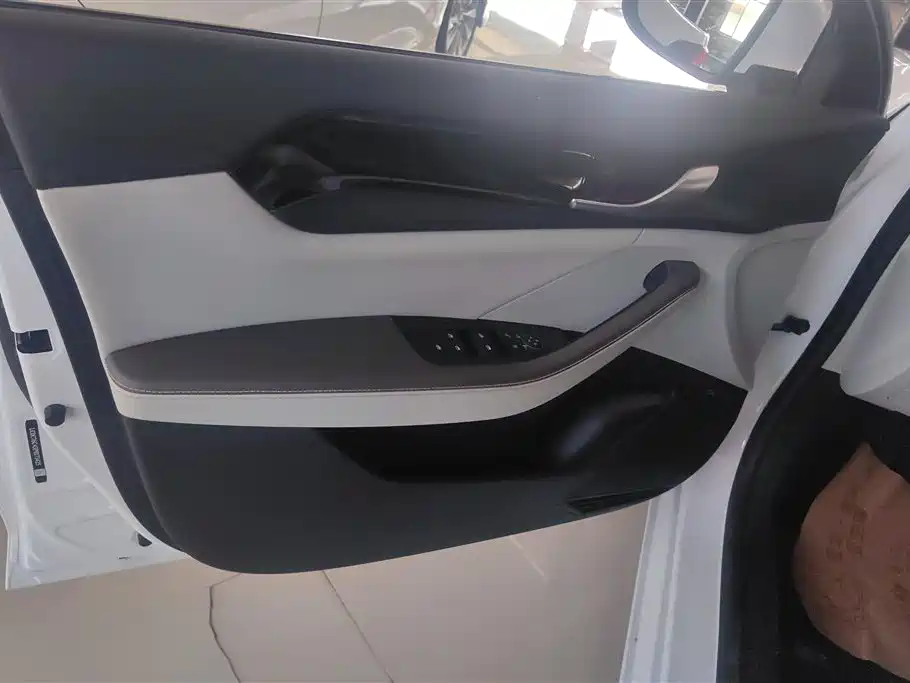 BYD Qin PLUS 2023 Champion Edition DM-i 55KM Leading фото 7