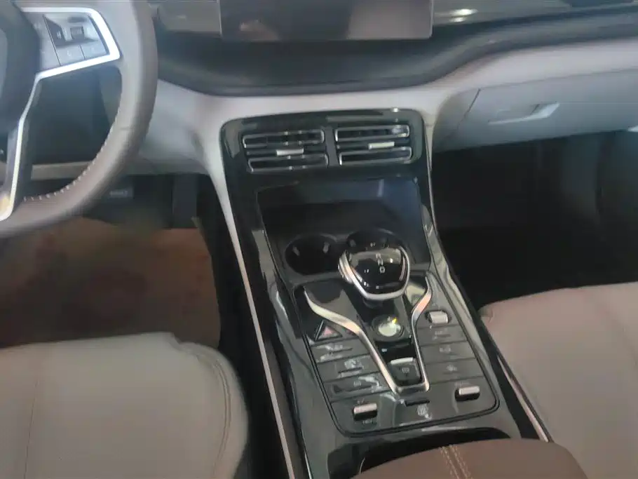 BYD Qin PLUS 2023 Champion Edition DM-i 55KM Leading фото 16