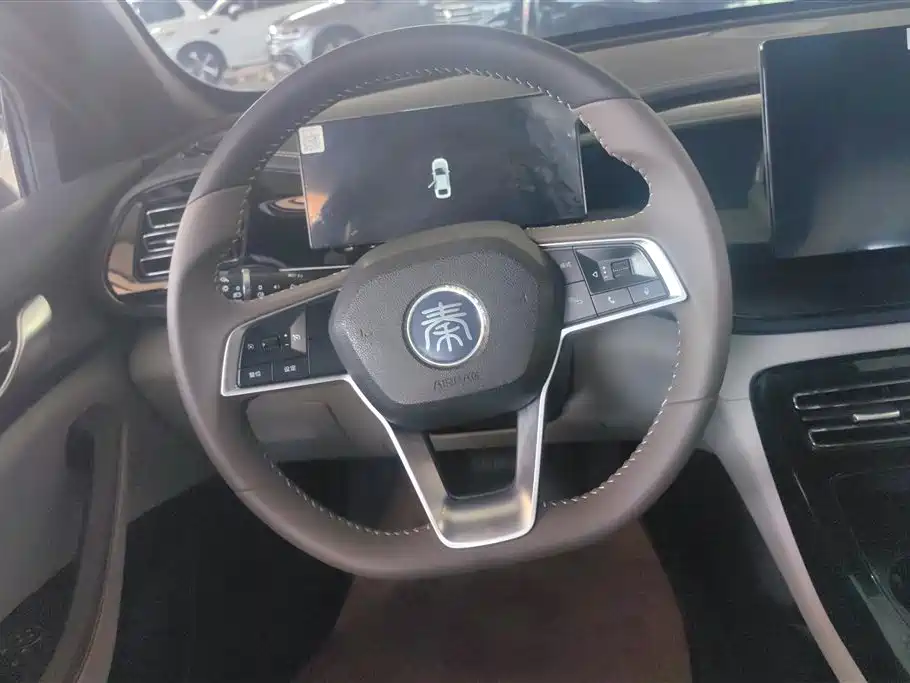 BYD Qin PLUS 2023 Champion Edition DM-i 55KM Leading фото 15