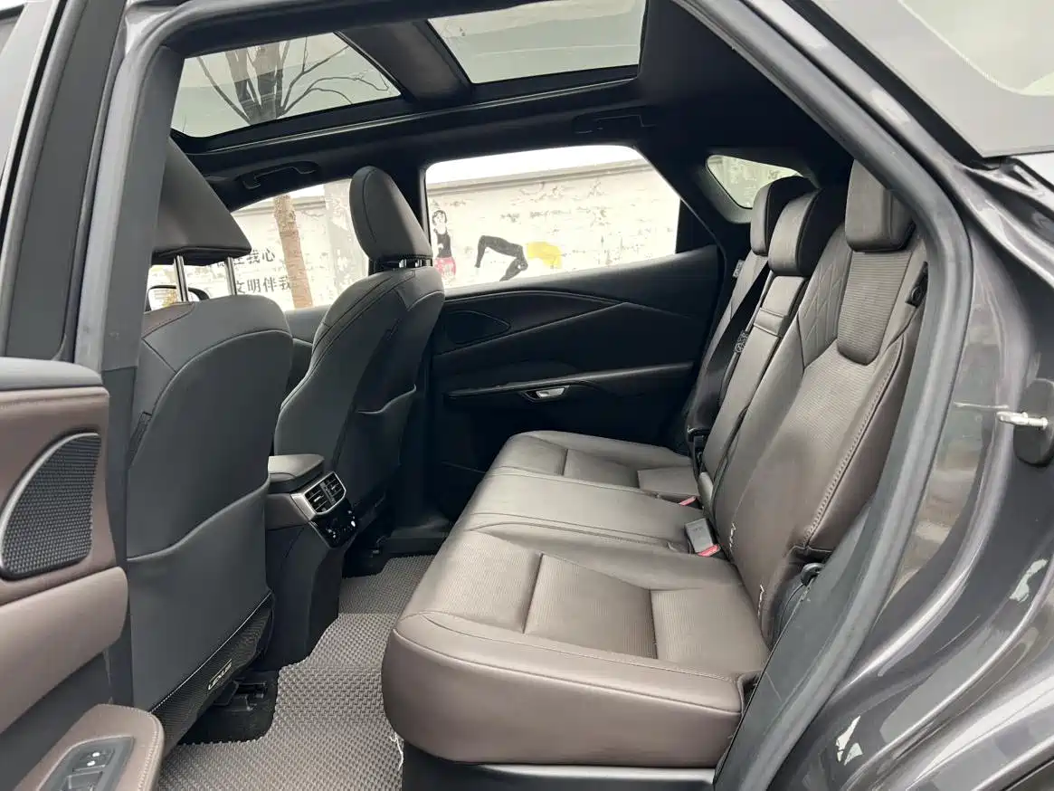 Lexus RX New Energy 2023 450h+ 4WD Enjoyment фото 10