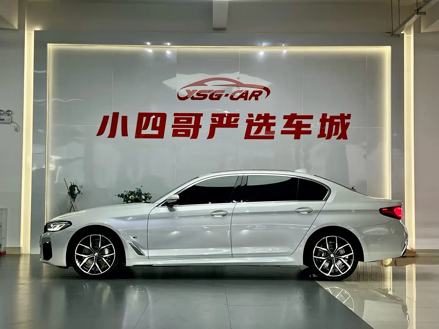 BMW 5 Series 2021 530Li Premium M Sport Package фото 3