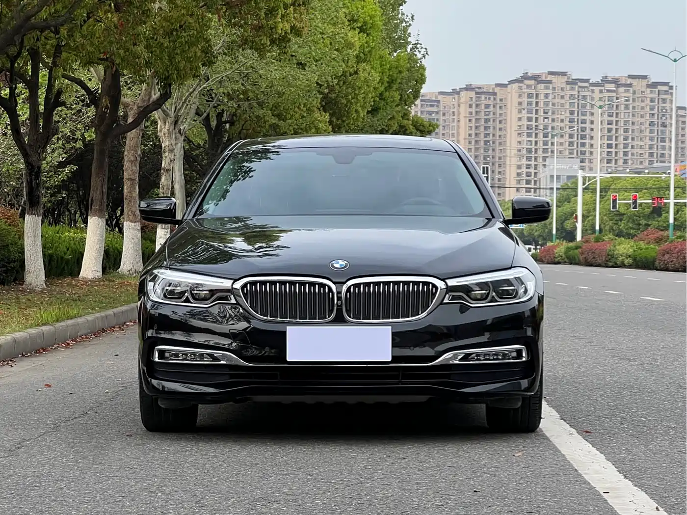BMW 5 Series 2018 Facelift 530Li Exclusive Luxury Package фото 2