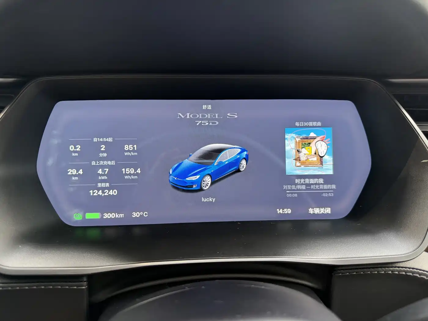 Tesla Model S 2019 2017 Model S 75D Standard Range
