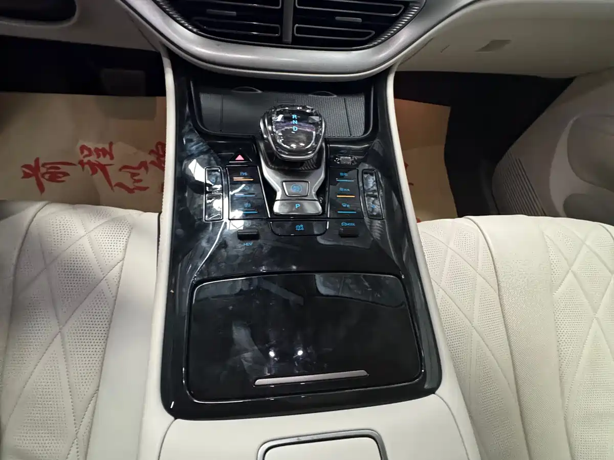 Denza D9 2024 DM-i 980 AWD Flagship фото 16