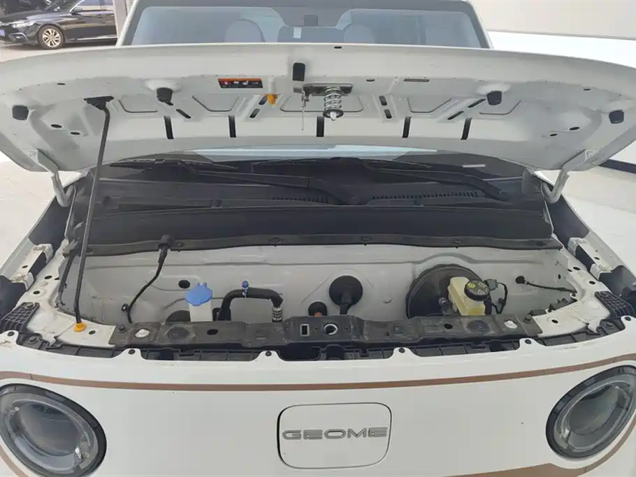 Geely Galaxy Panda 2024 Panda mini 200km Endurance Bear фото 10