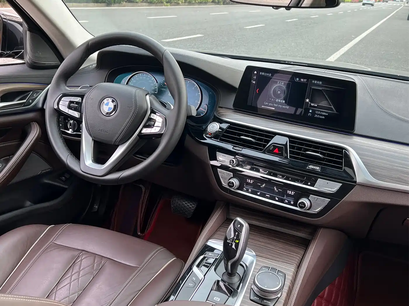 BMW 5 Series 2018 Facelift 530Li Exclusive Luxury Package фото 11