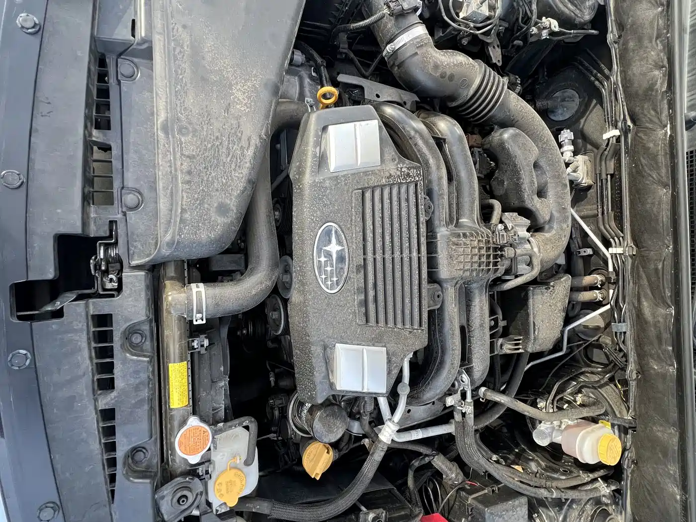Subaru Outback 2014 2.5i Elegance Sport Edition фото 21