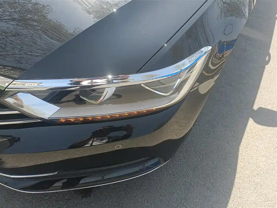 Volkswagen Magotan 2019 330TSI DSG Luxury China V фото 5