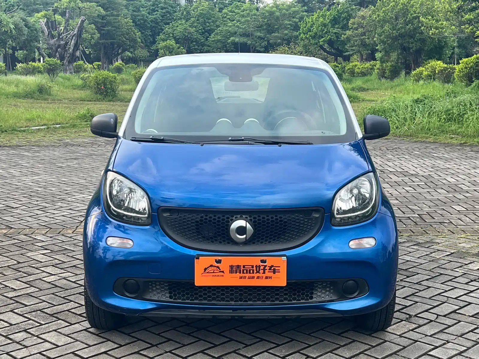 Фото 2 - smart forfour