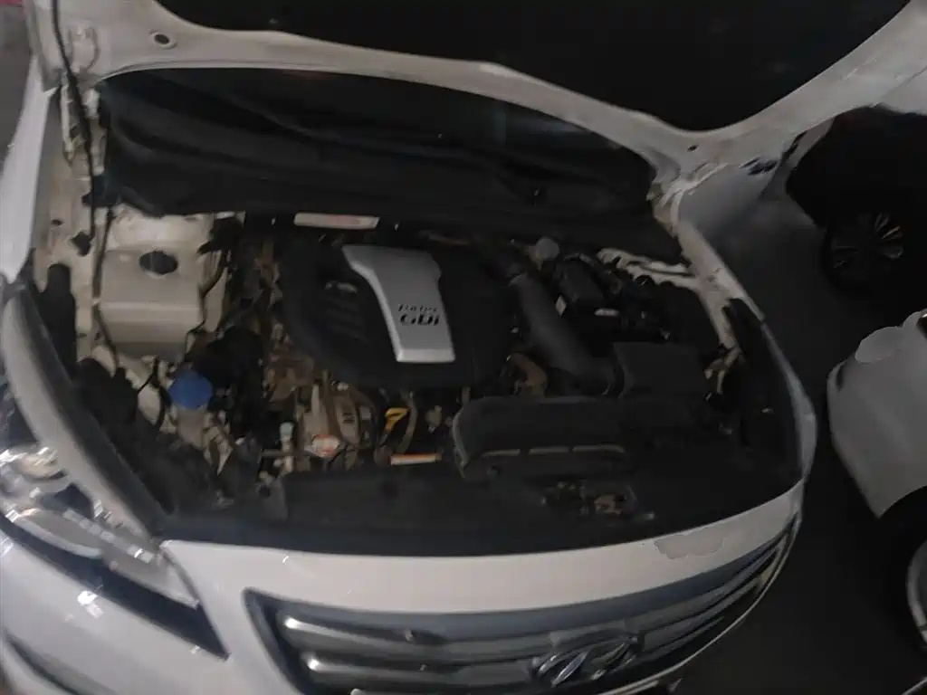 HYUNDAI NAME PICTURE