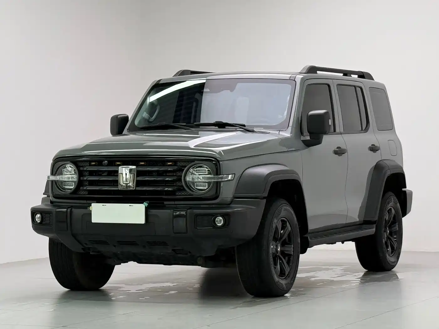 Tank 300 2021 Off-road Version 2.0T Conqueror