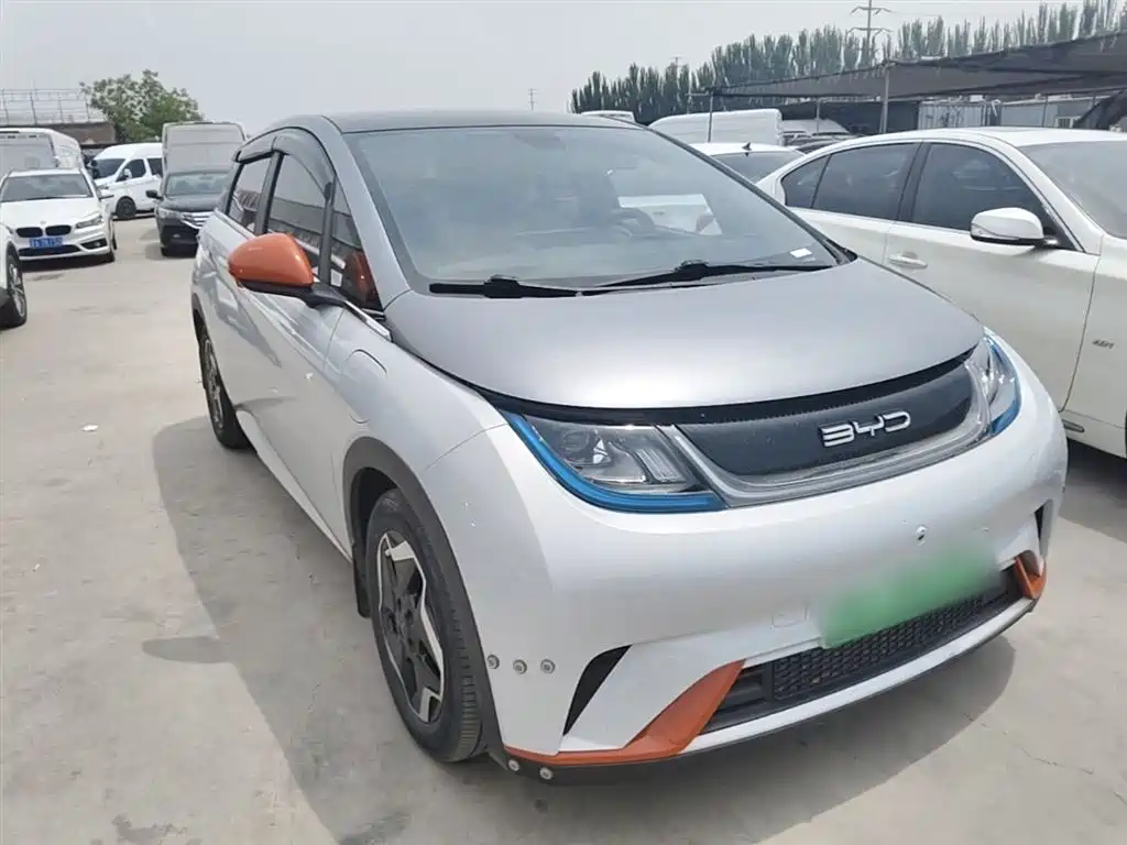BYD Dolphin 2021 Model 405km Fashion Edition фото 4