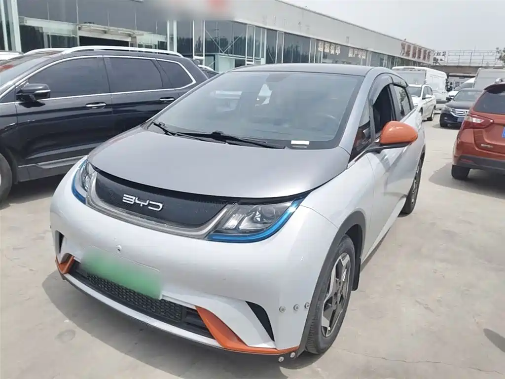 BYD Dolphin 2021 Model 405km Fashion Edition фото 2