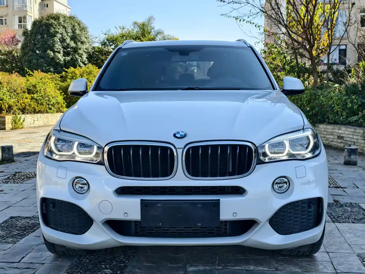 BMW X5 (Import) 2017 xDrive35i M Luxury Sport фото 2