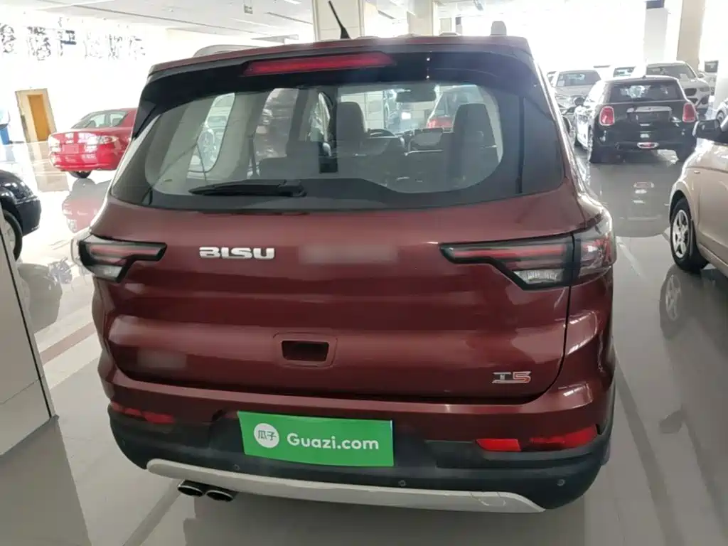 صورة 6 - Bisu Auto Bisu T5