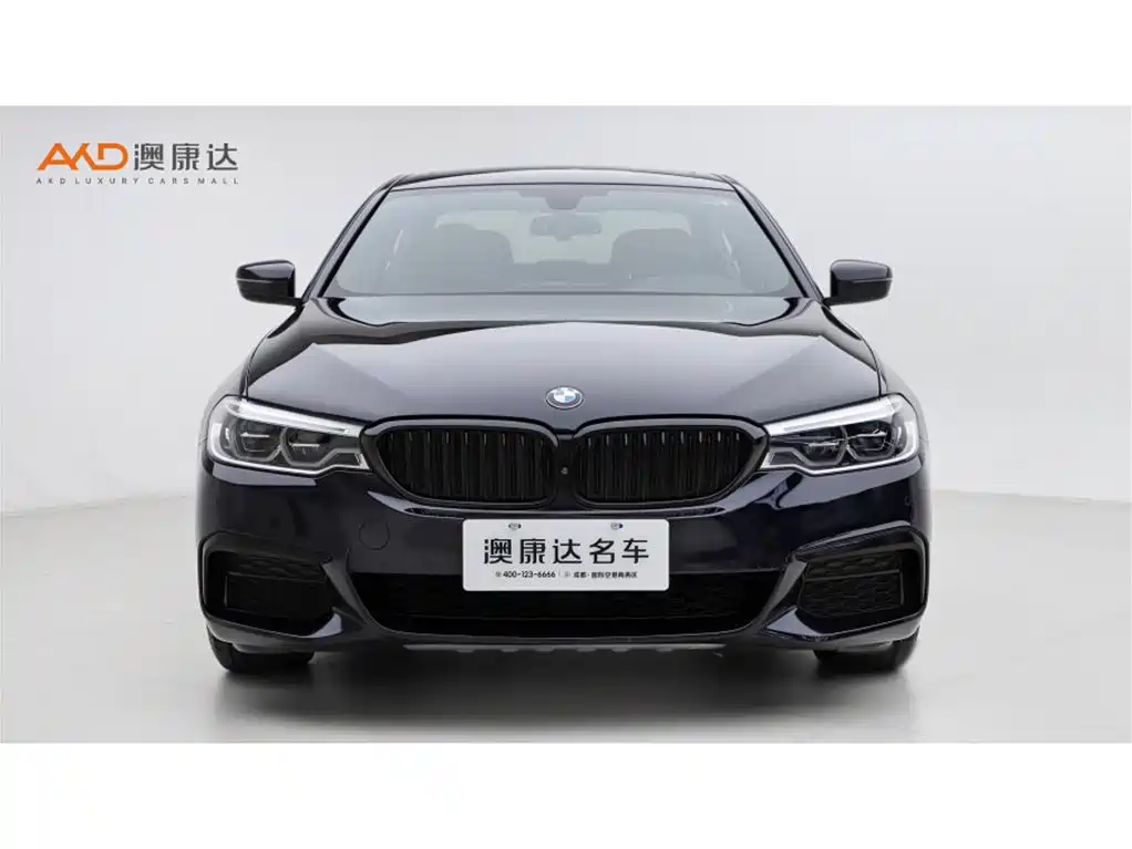 BMW 5 Series 2019 Facelift 530Li Premium M Sport Package фото 2
