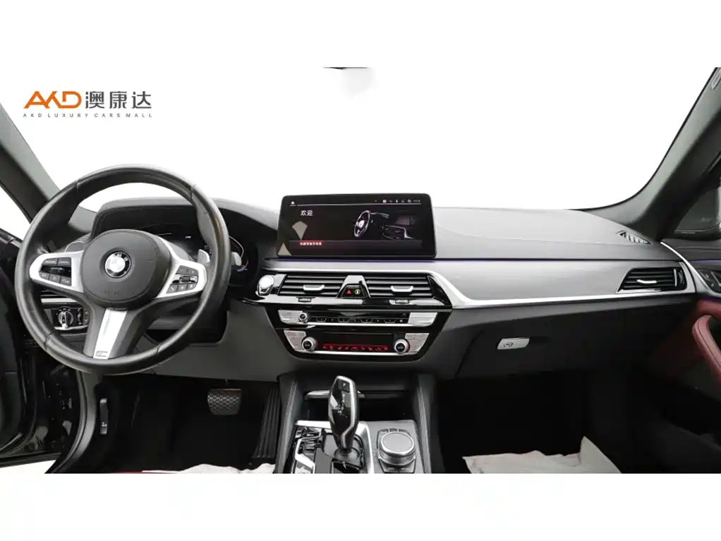 BMW 5 Series 2021 Facelift 530Li Premium M Sport Package фото 5