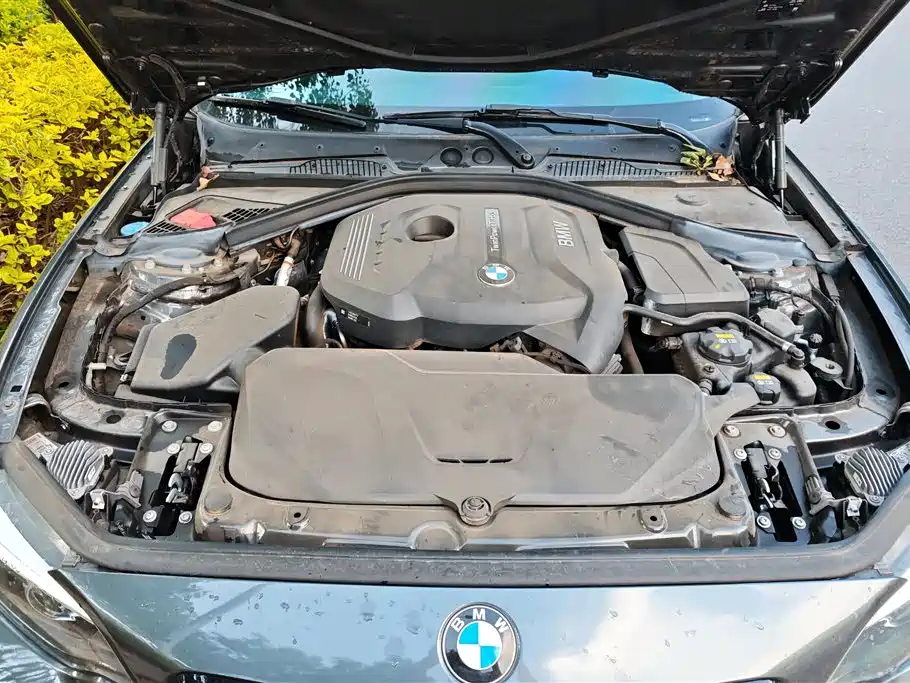 BMW 2 Series (Import) 2019 225i Sport Design Package фото 10