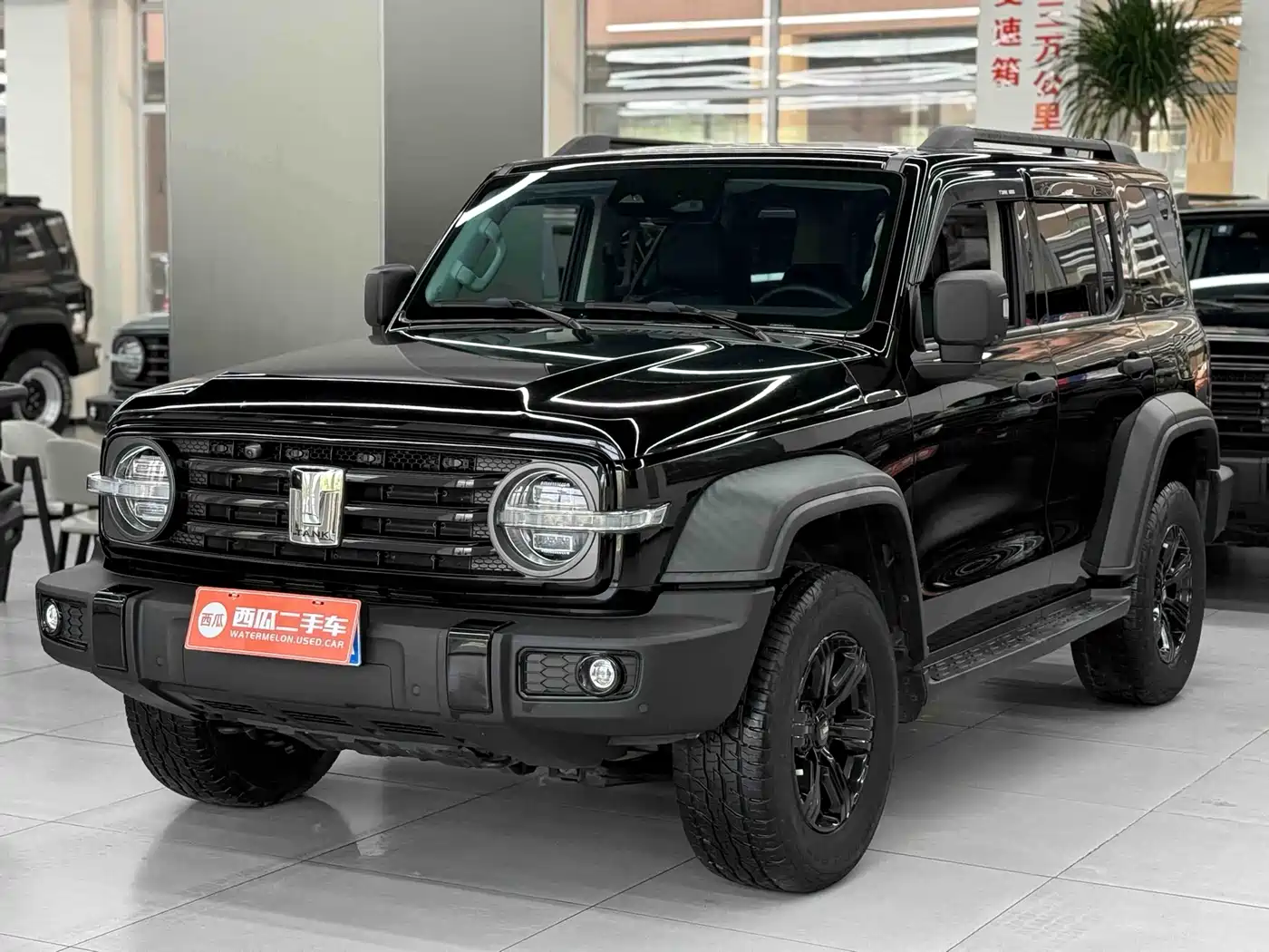 Tank 300 2021 Off-road Version 2.0T Conqueror
