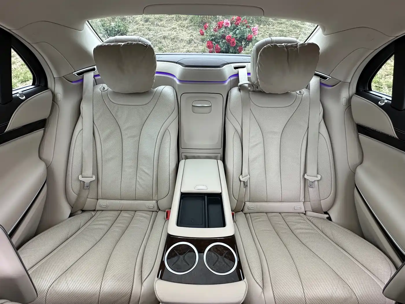 Mercedes-Benz S-Class 2018 S 350 L фото 18