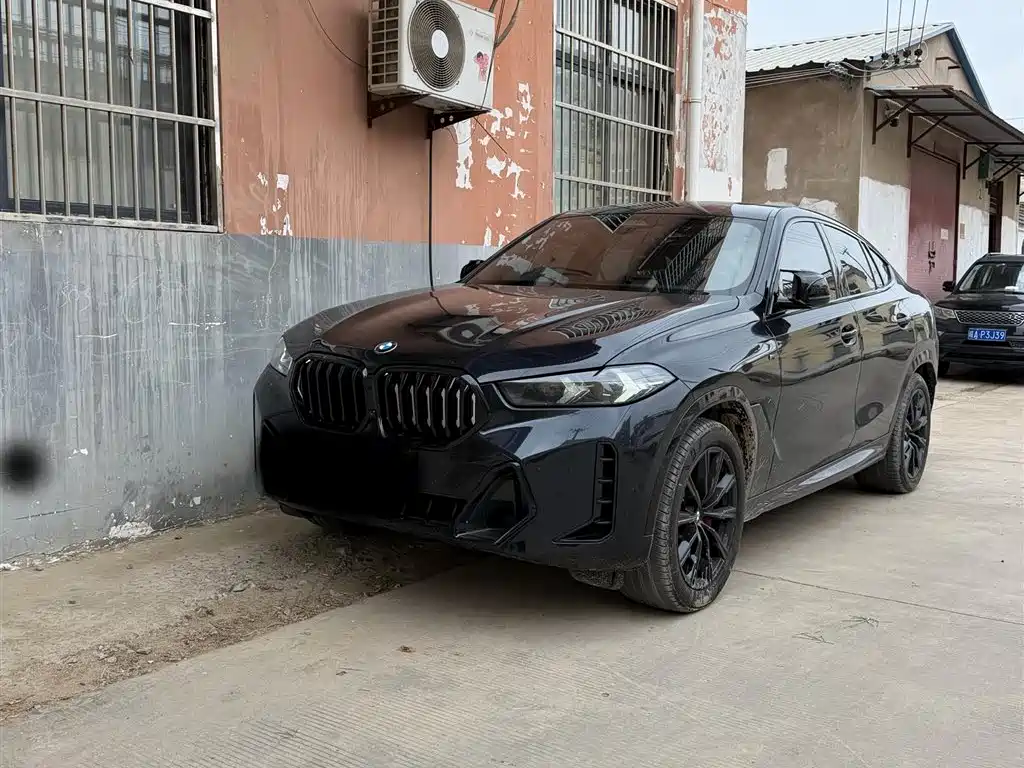 BMW X6 2023 xDrive30i M Sport Package