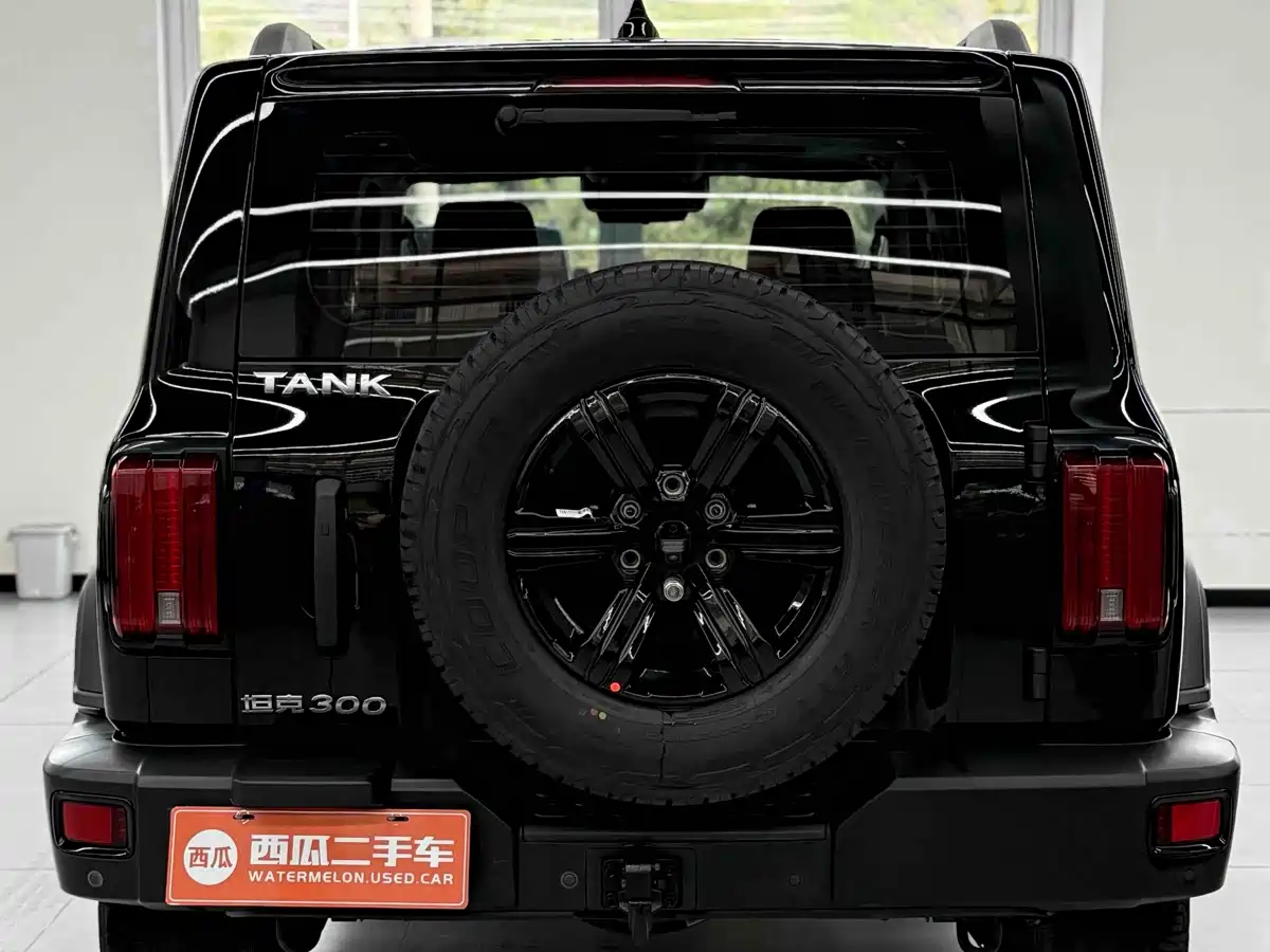 Tank 300 2021 Off-road Version 2.0T Conqueror фото 10