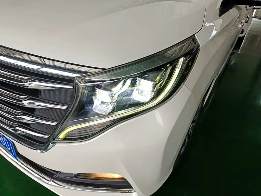 GAC Trumpchi Trumpchi M8 2018 2018 320T Premium Edition