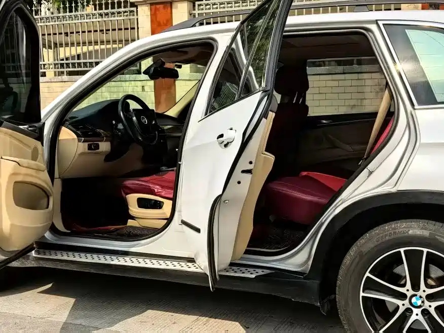 BMW X5 (Import) 2009 xDrive30i Luxury фото 4