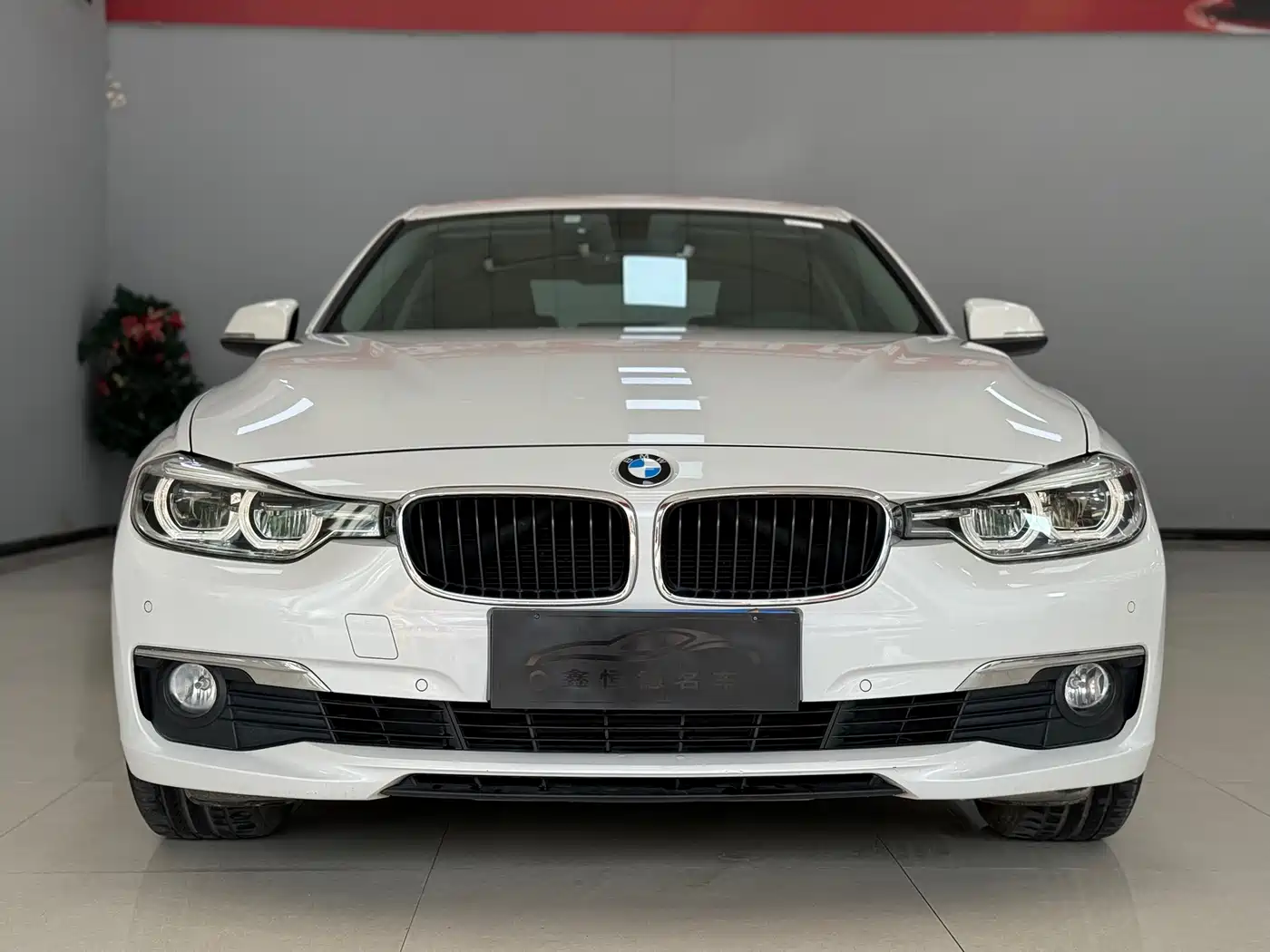 BMW 3 Series 2016 320Li Fashion Model фото 2