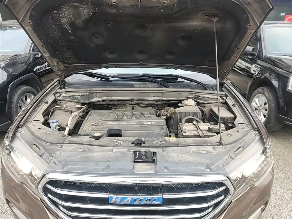 Haval H6 Coupe 2016 Blue Label 1.5T Automatic 2WD Urban фото 20