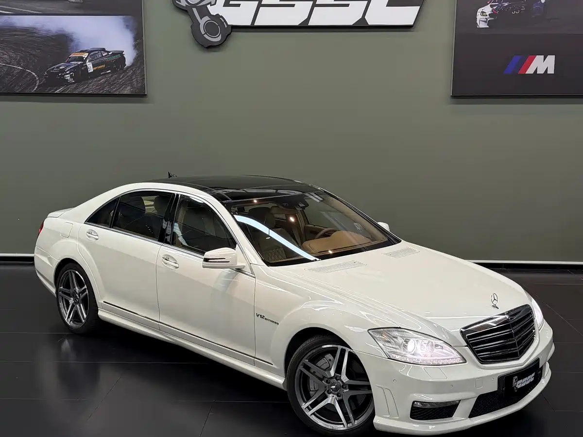 Mercedes-Benz S-Class AMG 2010 AMG S 65 фото 2