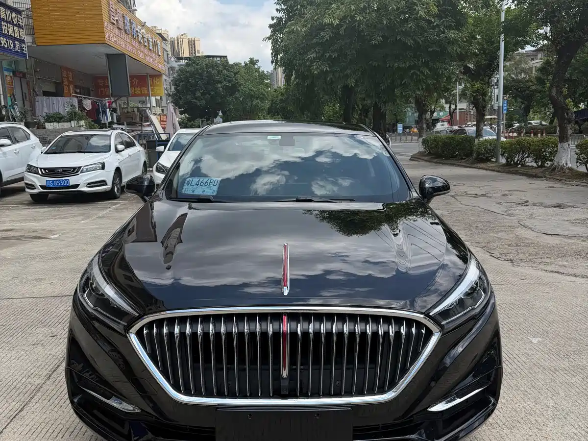 Hongqi H5 2022 Classic 1.5T DCT Flag Rhythm Edition фото 2