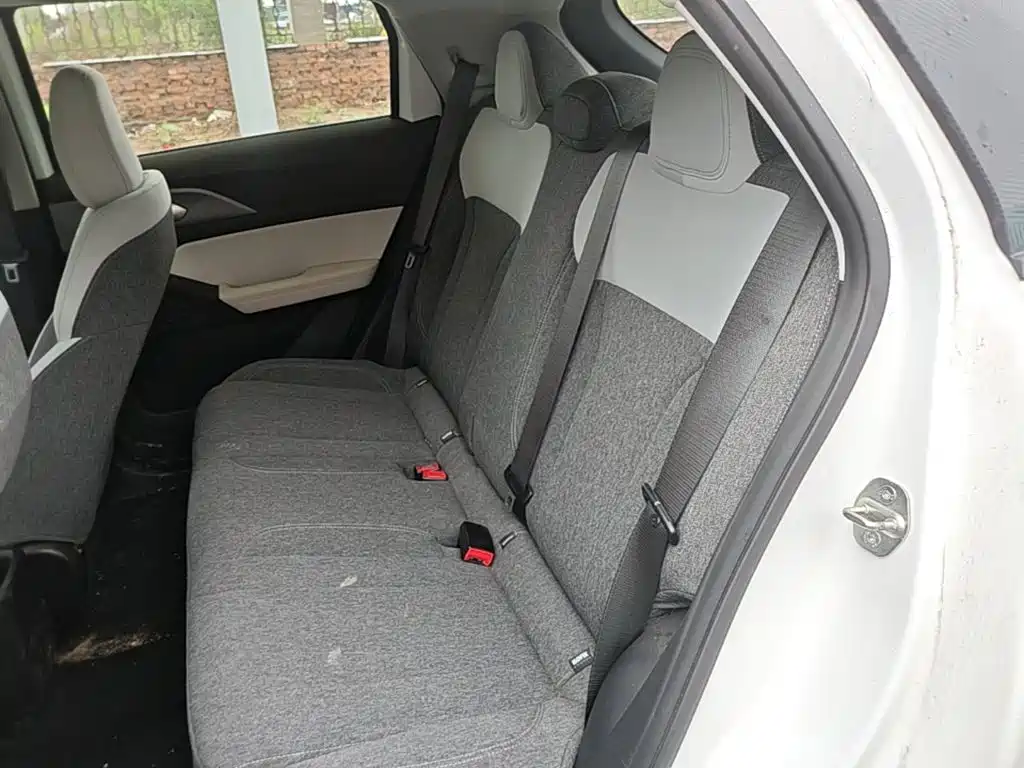 Geely Geometry E Firefly 2024 2024 Model 301km Light Flow