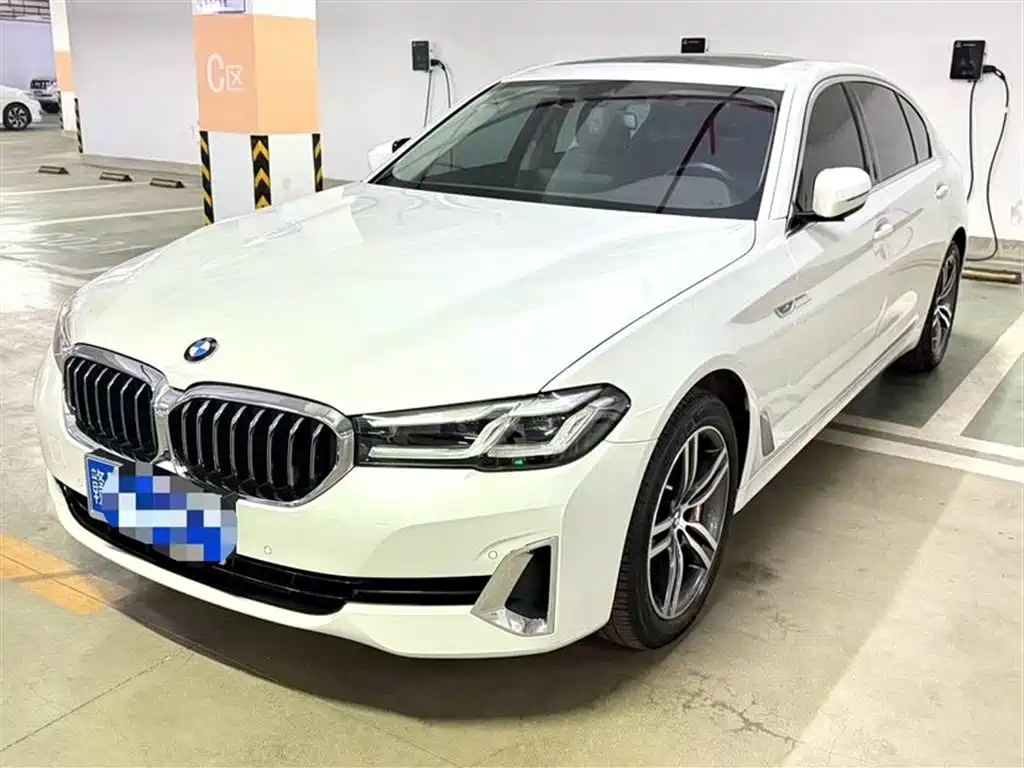 BMW 5 Series 2021 530Li xDrive Luxury Package