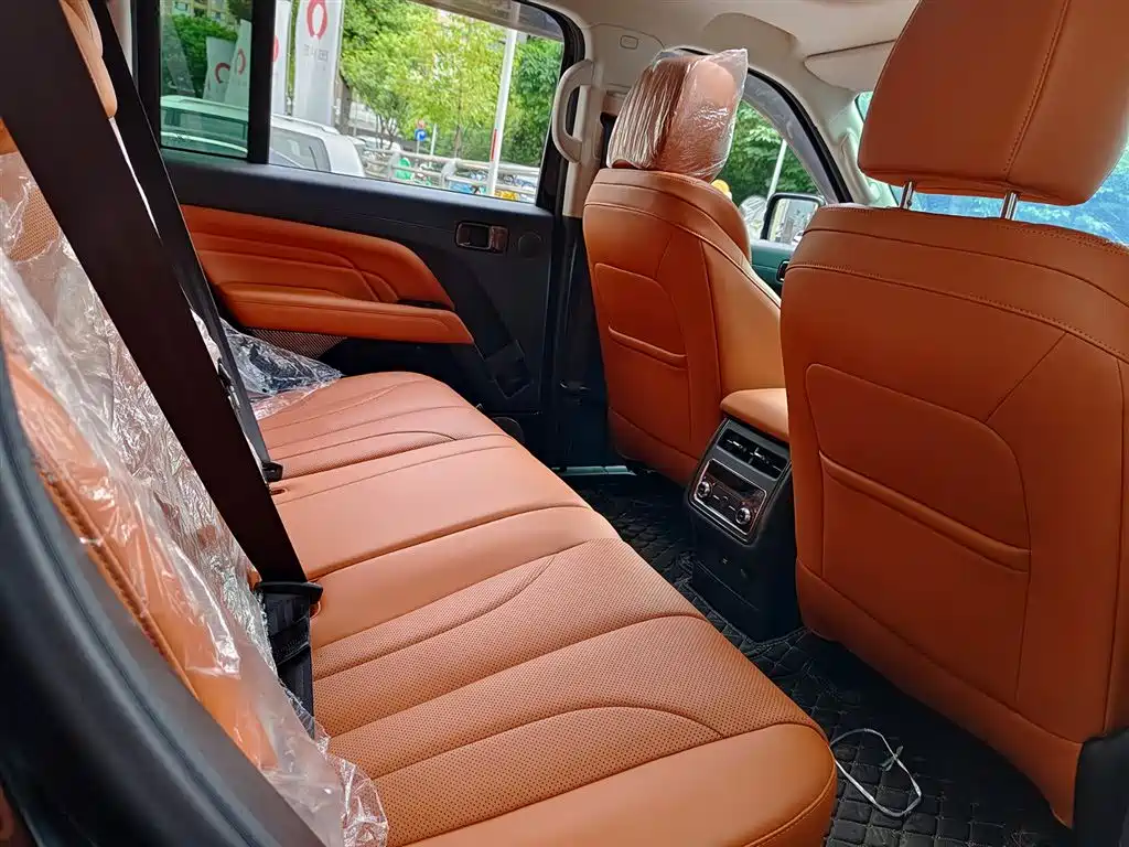 Haval H9 2024 2.0T Gasoline AWD Extreme Edition фото 11