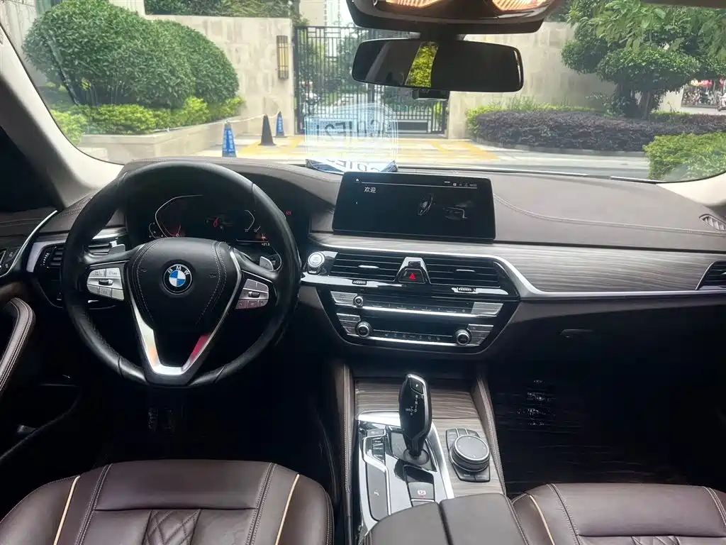 BMW 5 Series 2020 530Li Leading Luxury Package фото 9