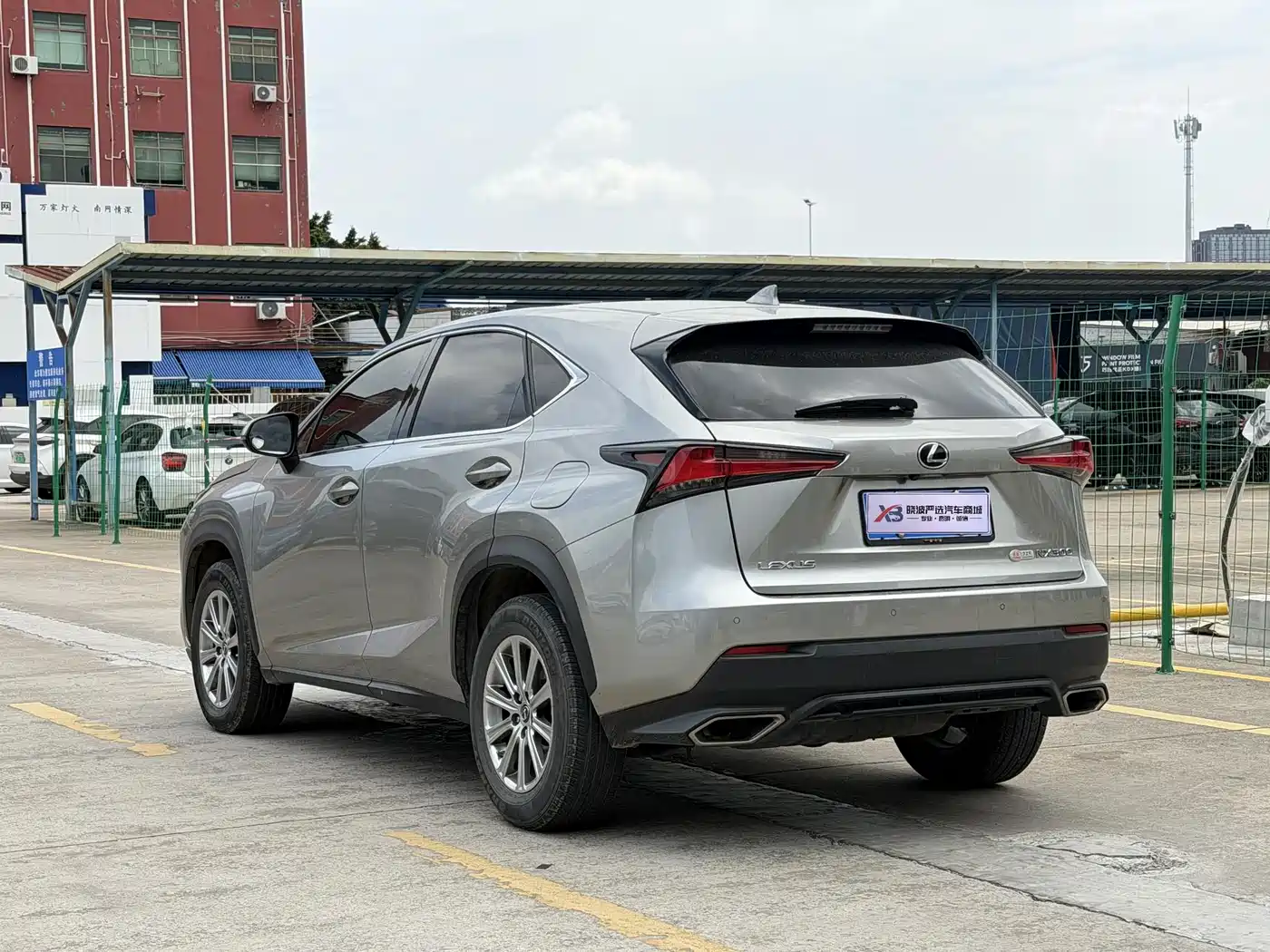 Lexus NX 2020 300 FWD F Line China V фото 6
