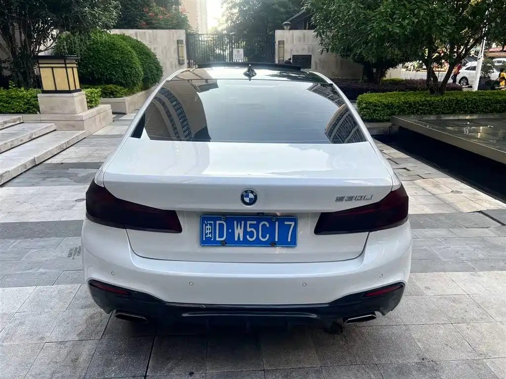 BMW 5 Series 2020 530Li Exclusive M Sport Package фото 5