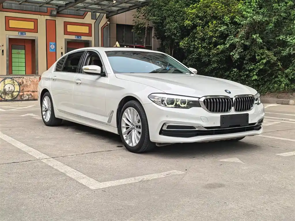 BMW 5 Series 2020 525Li Luxury Package фото 3
