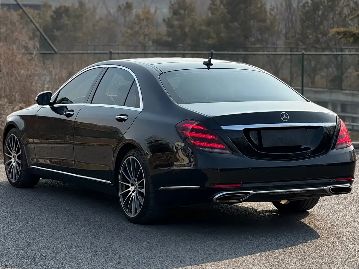 Mercedes-Benz S-Class 2018 S 450 L фото 4