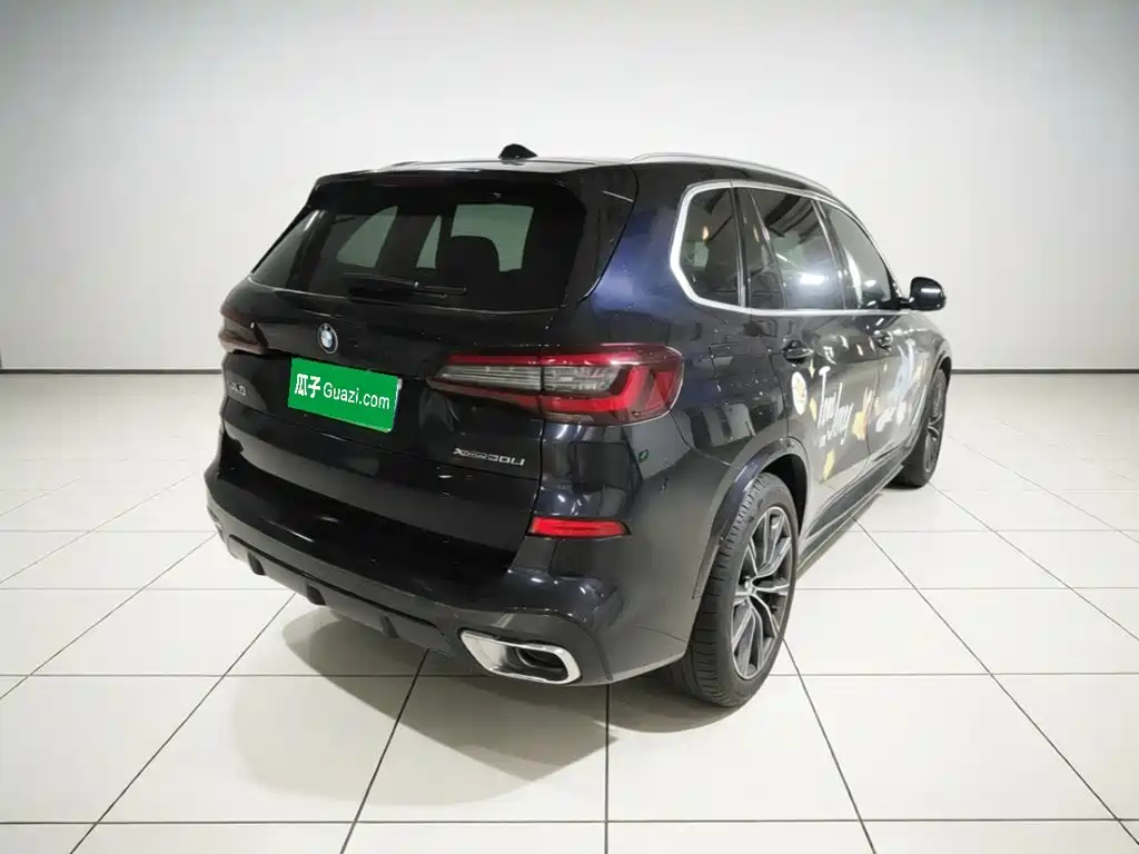 BMW X5 2022 2022 xDrive 30Li M Sport Package