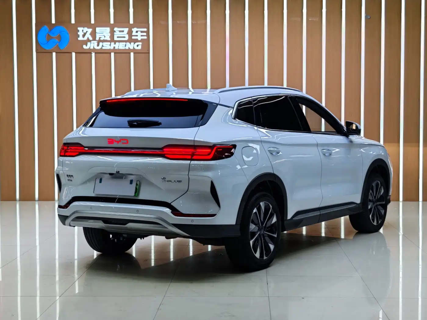 BYD SONGJIANG NEW ENERGY