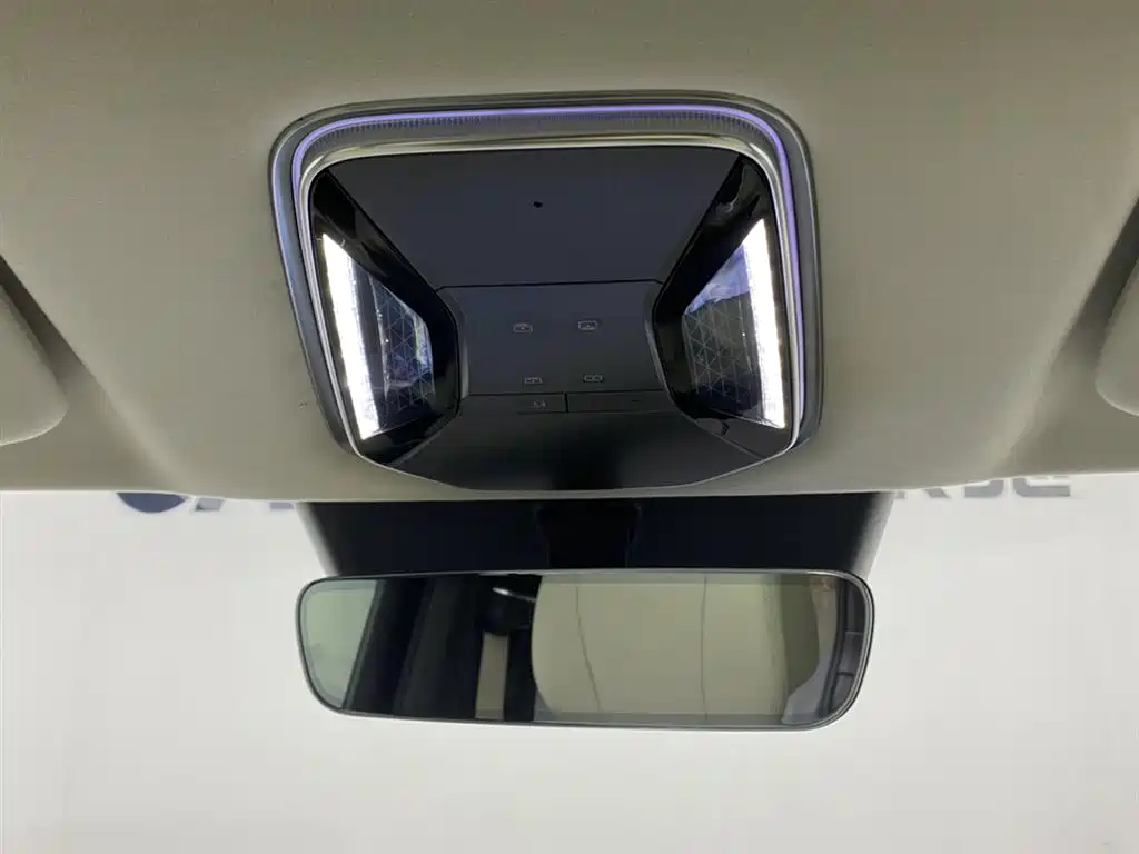 Denza N9 2025 Model Prestige Edition фото 14