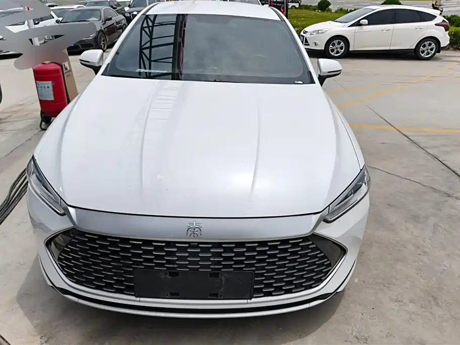 BYD Qin PLUS 2024 Glory Edition DM-i 55KM Leading фото 2
