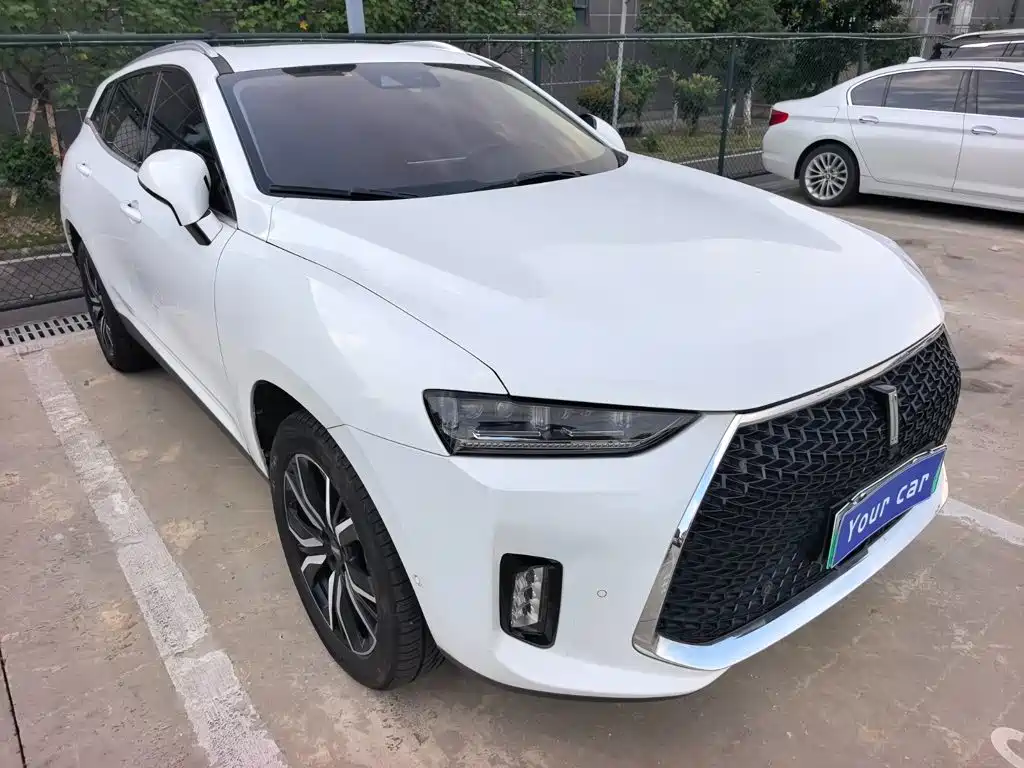 2018 WEY P8