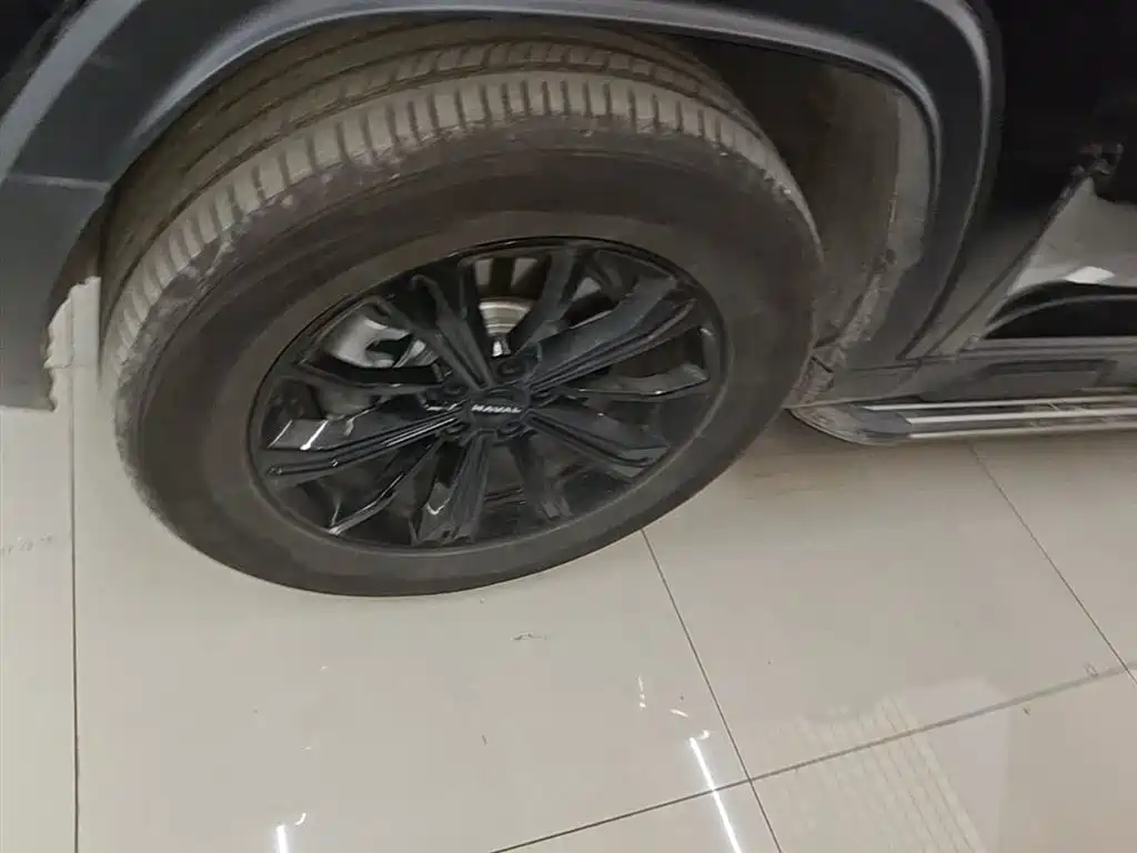 Haval Meng Long NEV 2024 Hi4 145 Cross-country Edition фото 25